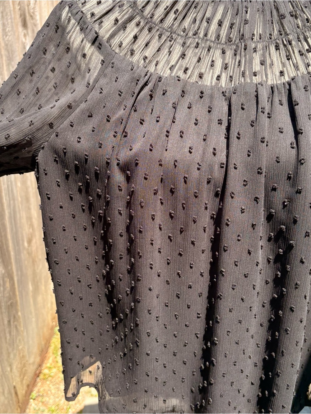 J. Crew Black Sheer Swiss Dot Ruffled Yoke Blouse - Picture 4 of 6